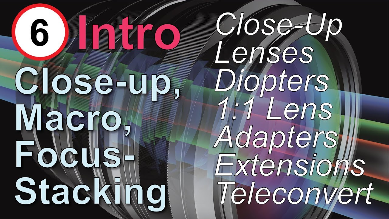 Extensions and Adapters: Close-up, Macro Photography, and Focus Stacking, Part 6