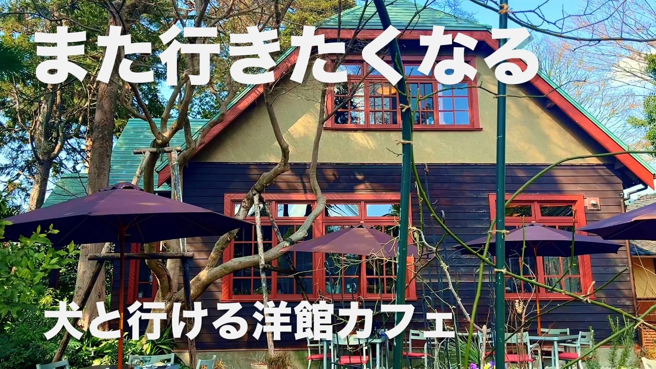 カフェおきもと｜受け継がれた洋館で、犬と過ごす午後 in 国分寺