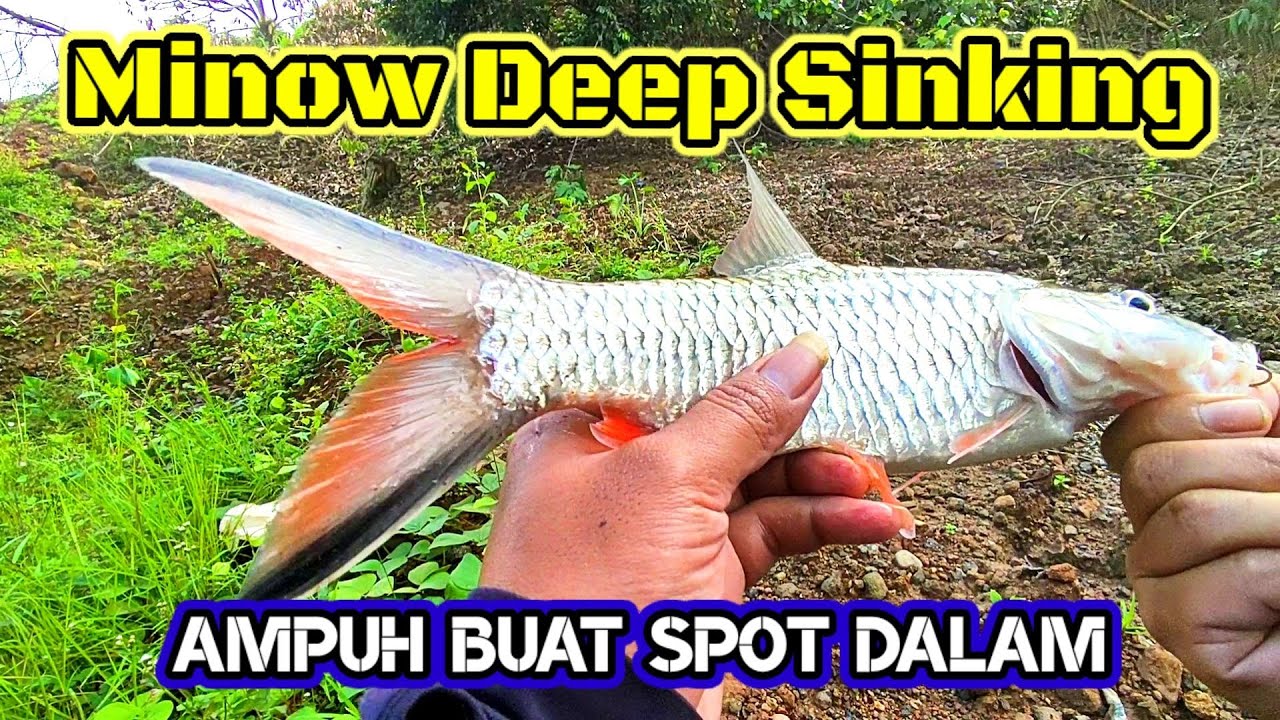 Minow Deep Sinking Lidah Panjang.cocok buat spot dalem