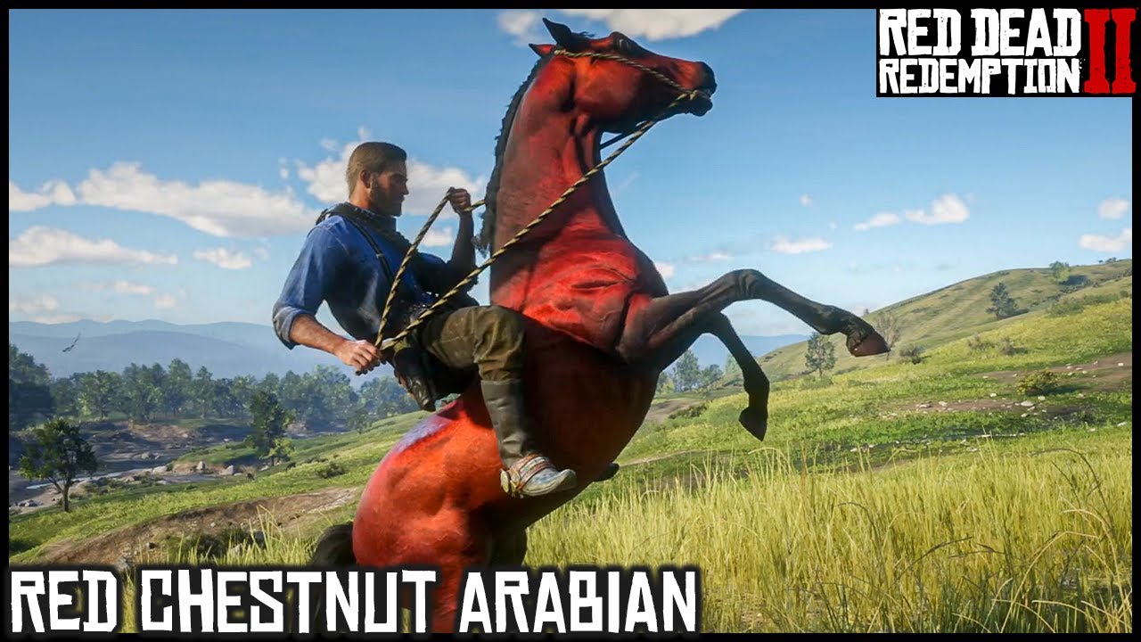 Красный каштановый араб &mdash; сюжетный режим Red Dead Redemption 2