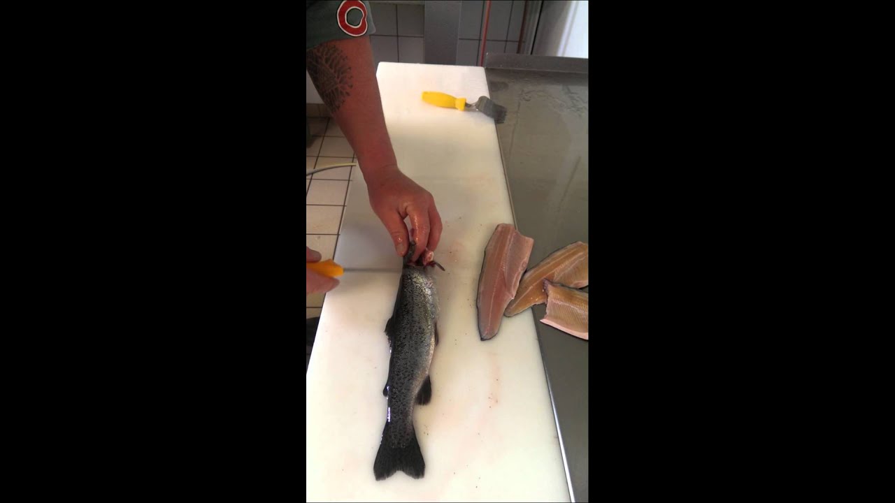 Forellen(Fisch allgemein)filetieren vom Profi