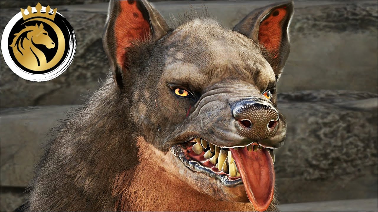 Ark türkçe HYAENODON  Evcilleştirme | ARK Survival Evolved Ragnarok (MODSUZ) I S1B60