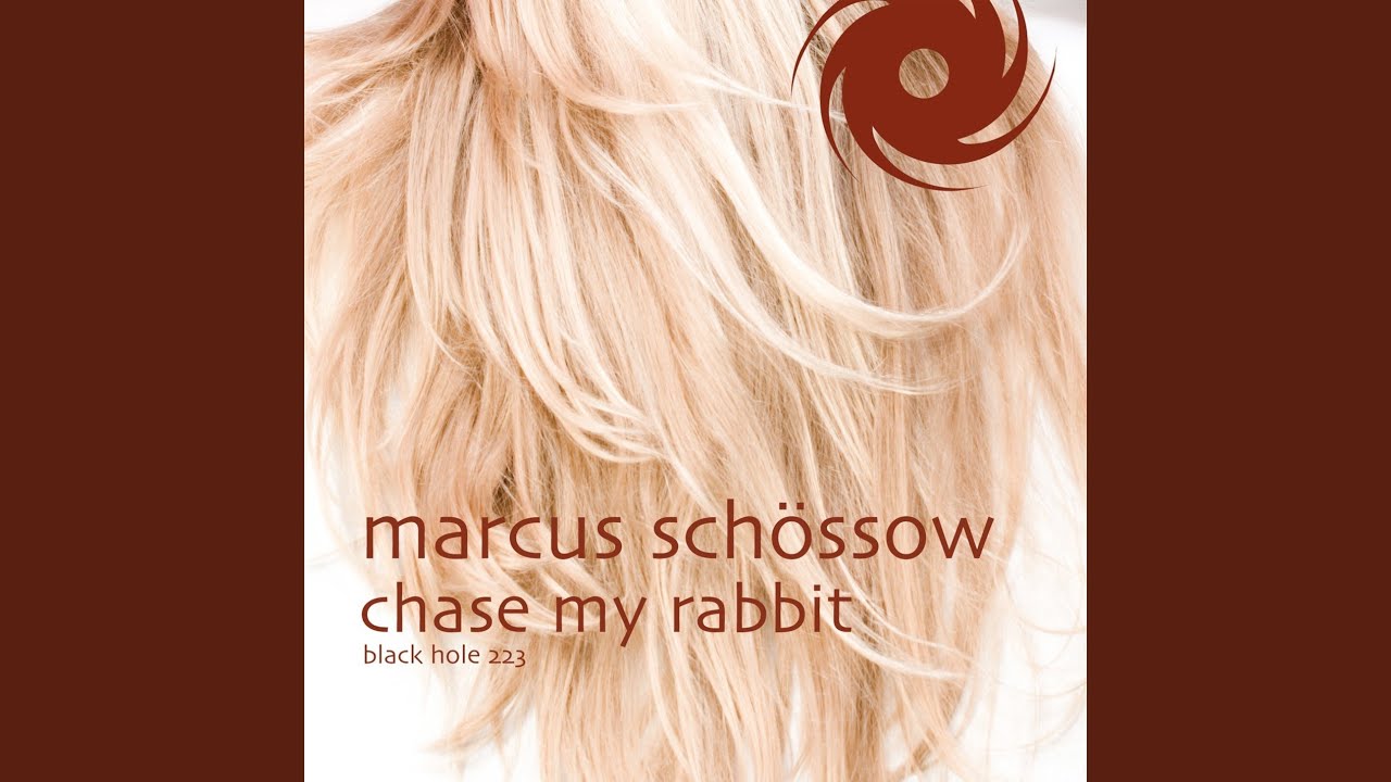 Chase My Rabbit