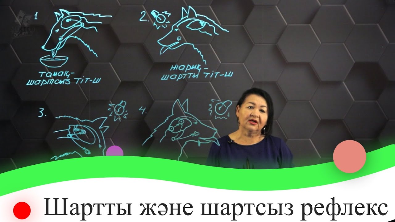 Шартты және шартсыз рефлекс. 7 сынып.
