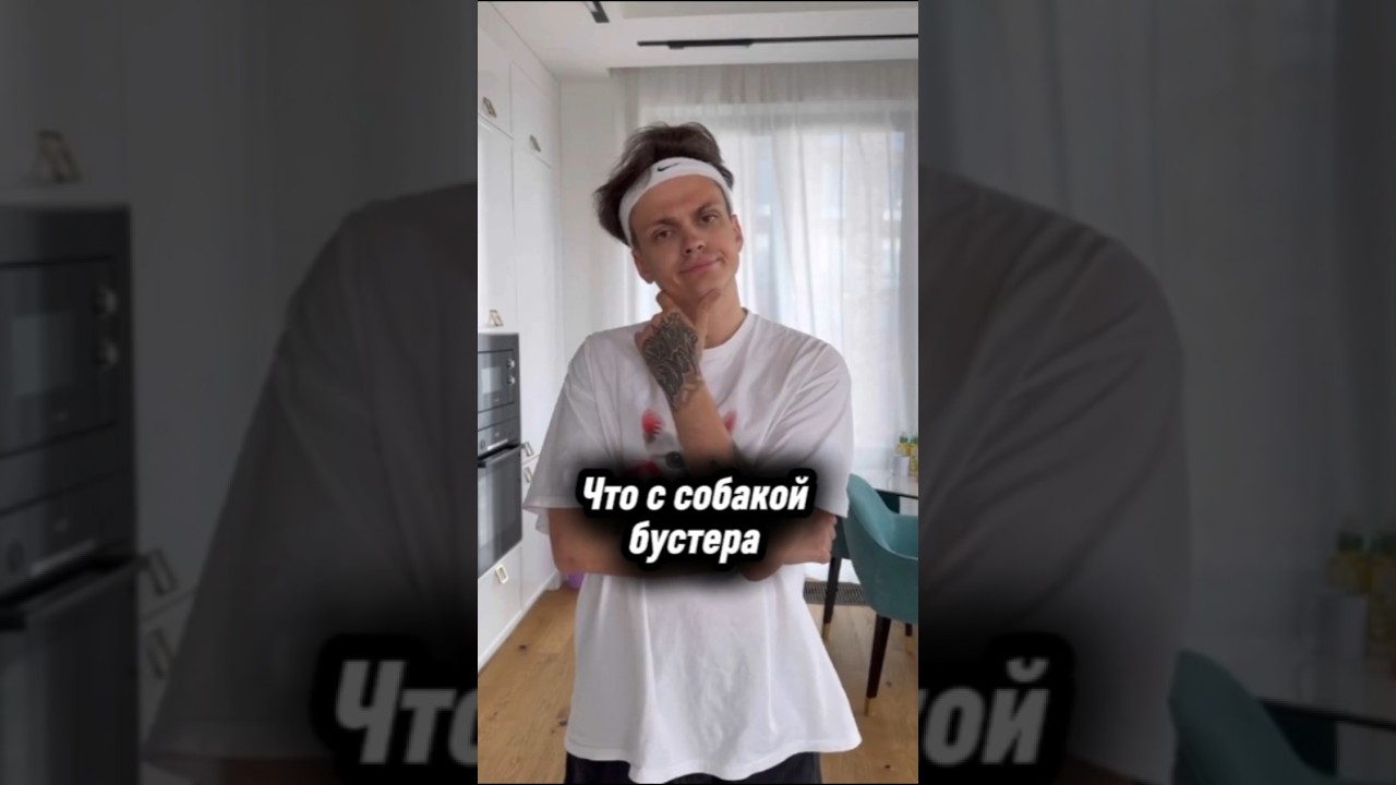 Что с собакой бустера? #buster #busterenko #slavabuster #бустеренко #бустер #vilis #vilisstern