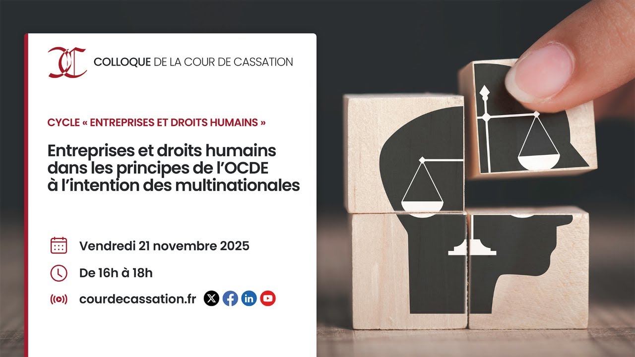 Entreprises et droits humains dans les principes de l&rsquo;OCDE &agrave; l&rsquo;intention des multinationales