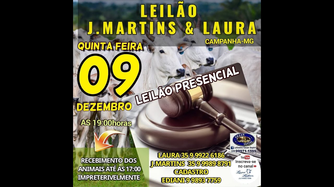 J. Martins e Laura Leilões - Campanha
