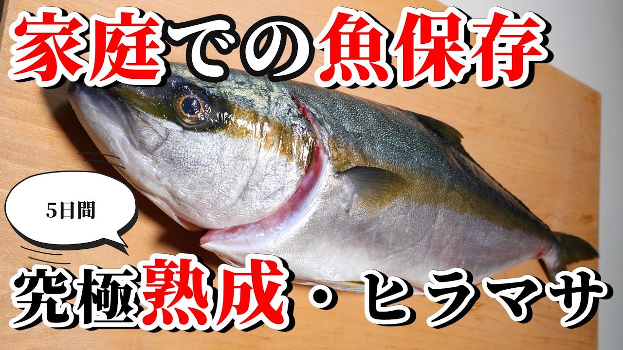 家庭で一番簡単に青物を保存、熟成する方法【ヒラマサ編】！中型～大型魚までの魚の旨み引き出します