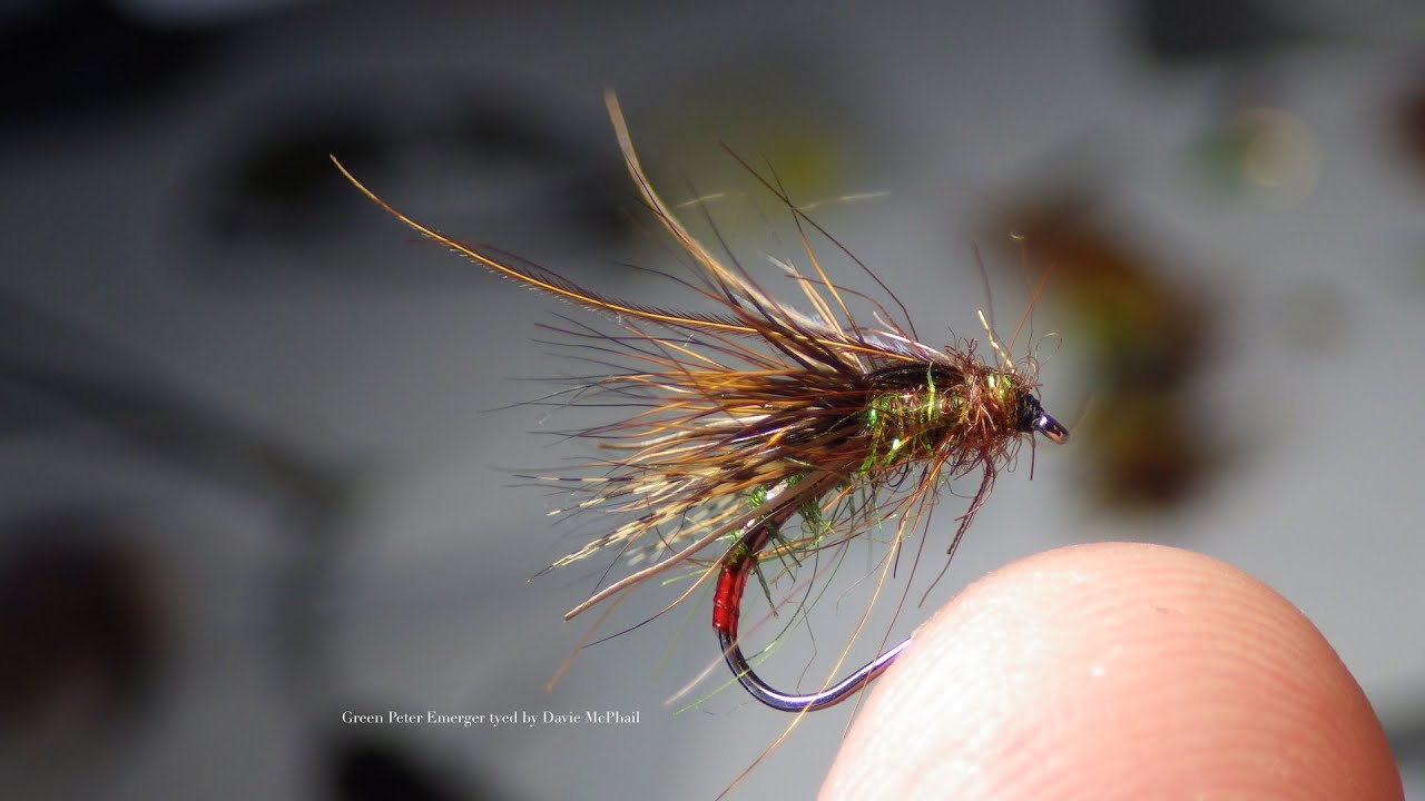Tying a Green Peter Caddis Emerger by Davie McPhail (HD)