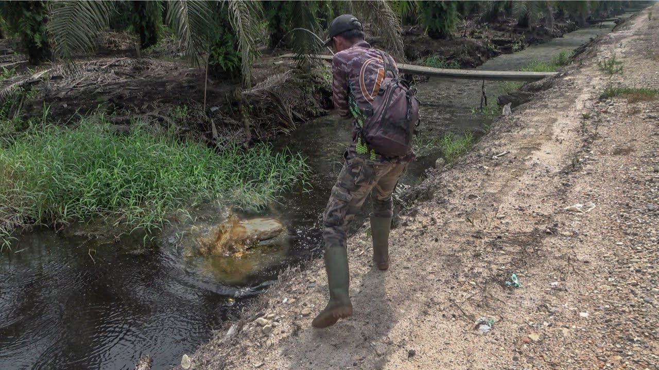 NGERI !!! UMPAN INI BUAT IKAN NG4MUK2 😨😨😨