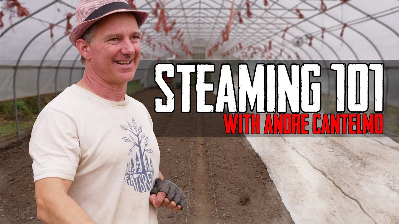 In Depth Look at SOIL STEAMING with Andre Cantelmo