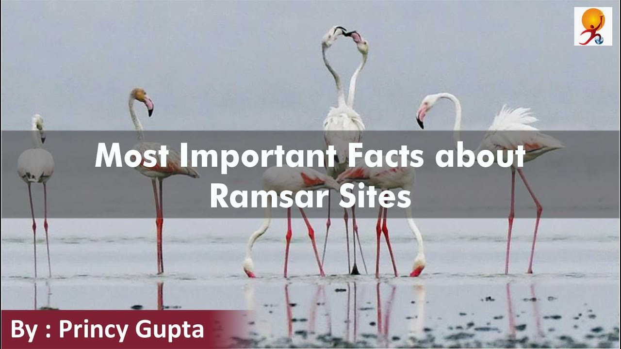 Most Important Facts about Ramsar Sites | Ramsar Sites