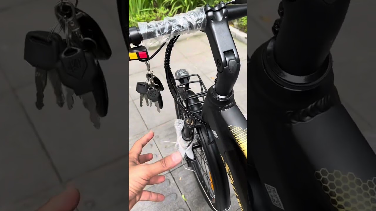 ‼️ Xe đạp trợ lực + tay ga Sallway Việt Nam 
