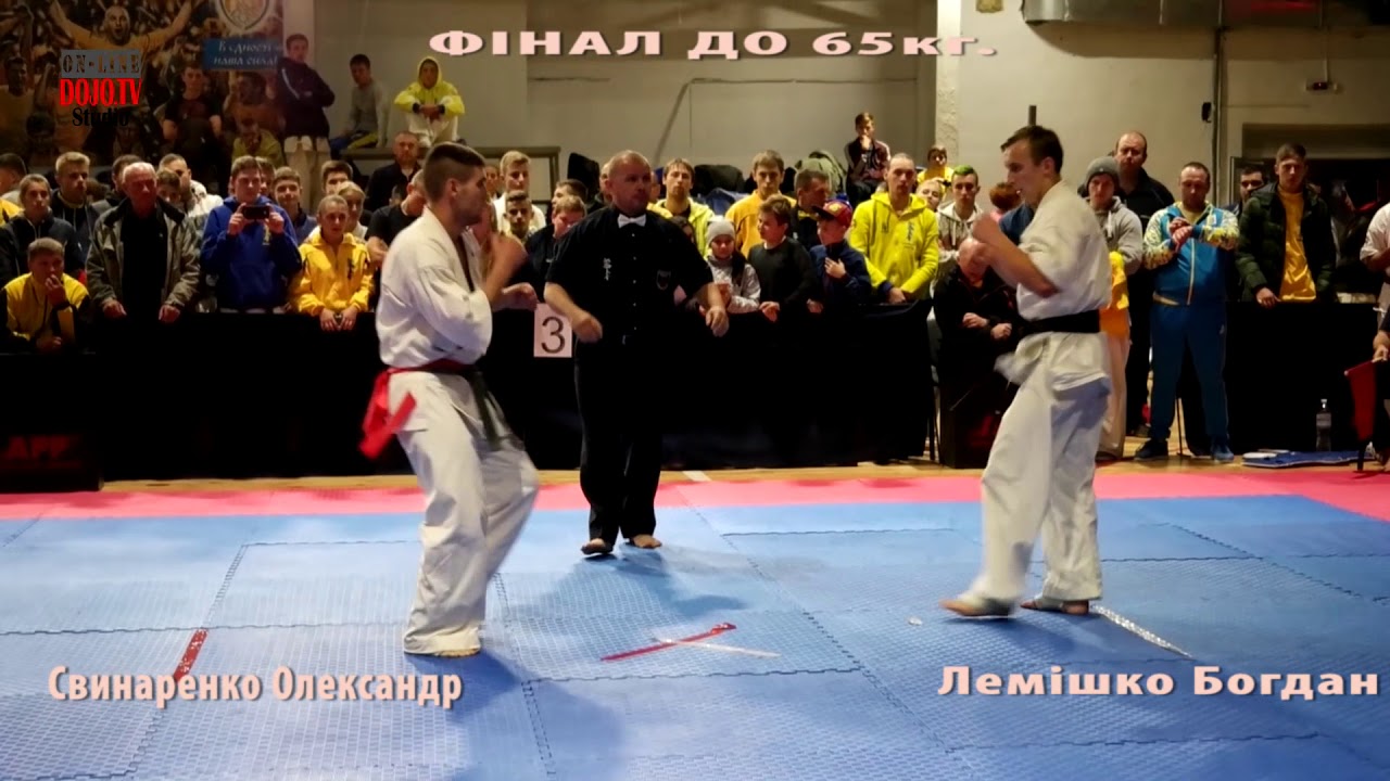 Final  65 kg (WKO UKRAINE 2017)  Alexander Svinarenko-Lemishko Bogdan