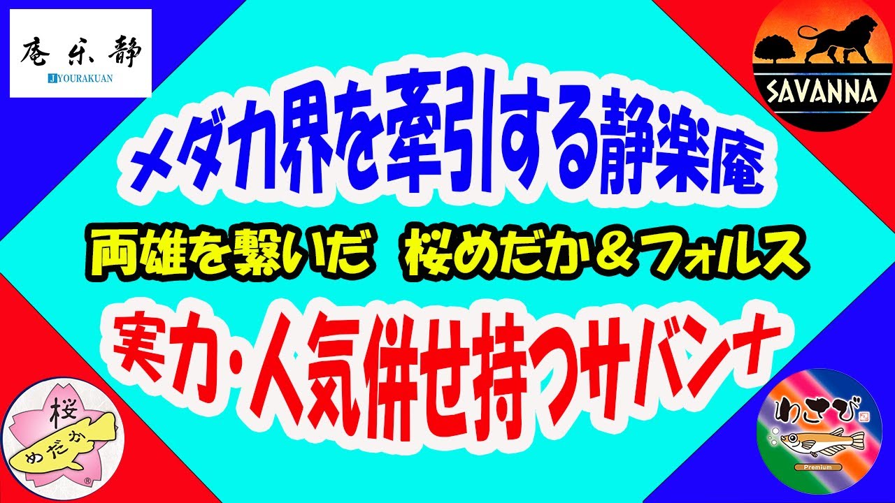第143回 【めだか界の扉を開く夢の祭典に行ってきました】
