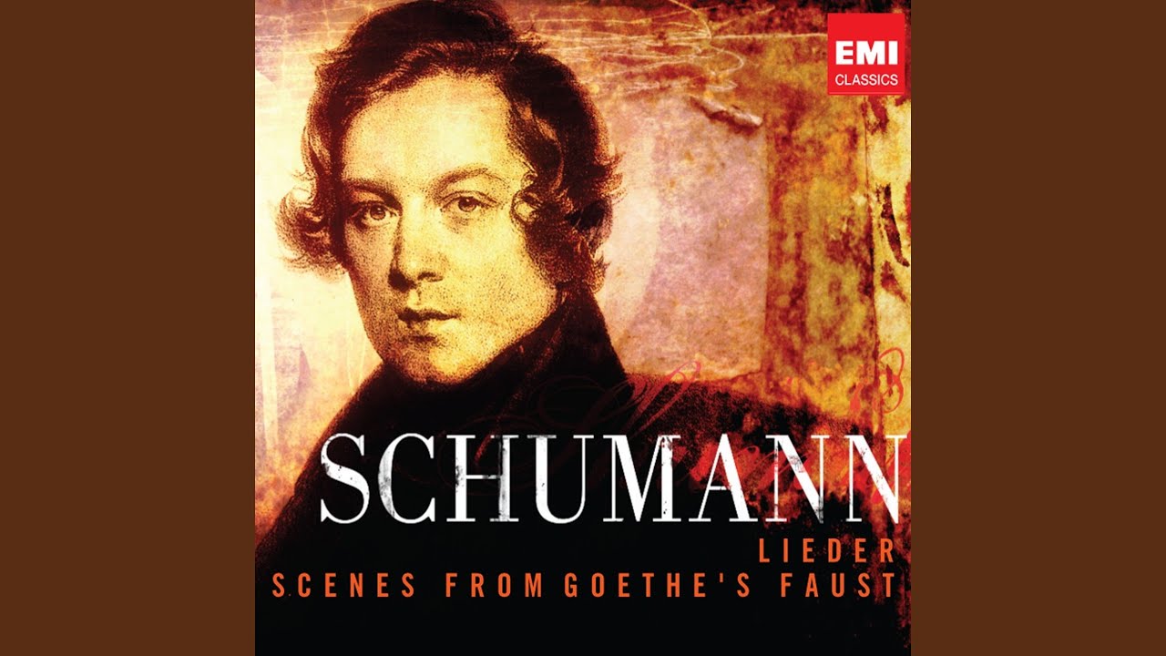 5 Lieder, Op. 40: No. 3, Der Soldat, 