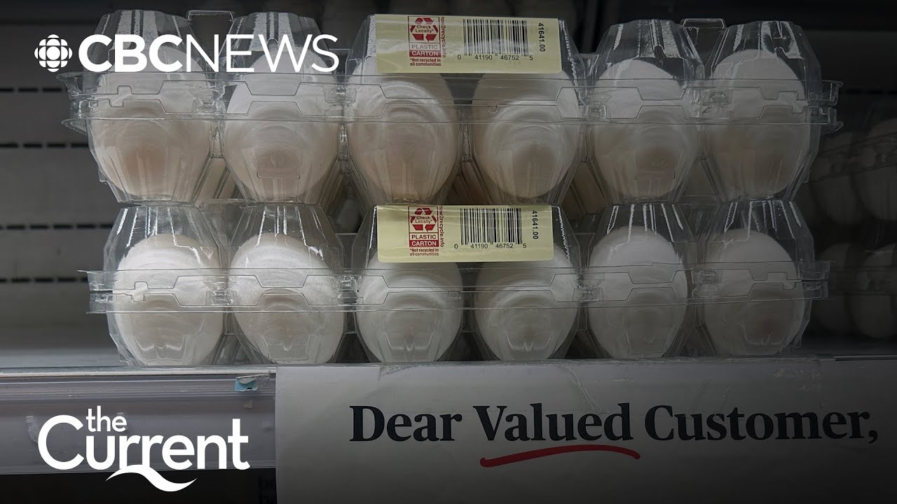 U.S. eggs are so expensive it feels like ‘eating gold’ | The Current