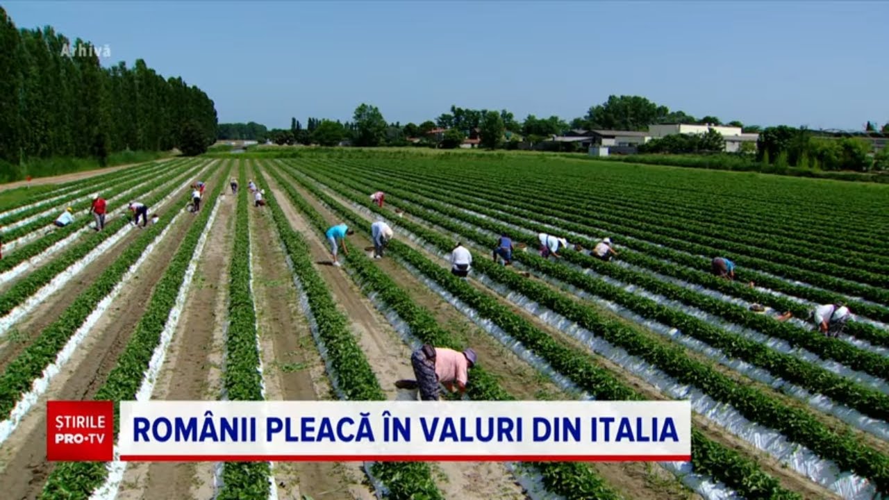 Comunitatea de români din Italia a scăzut sub un milion