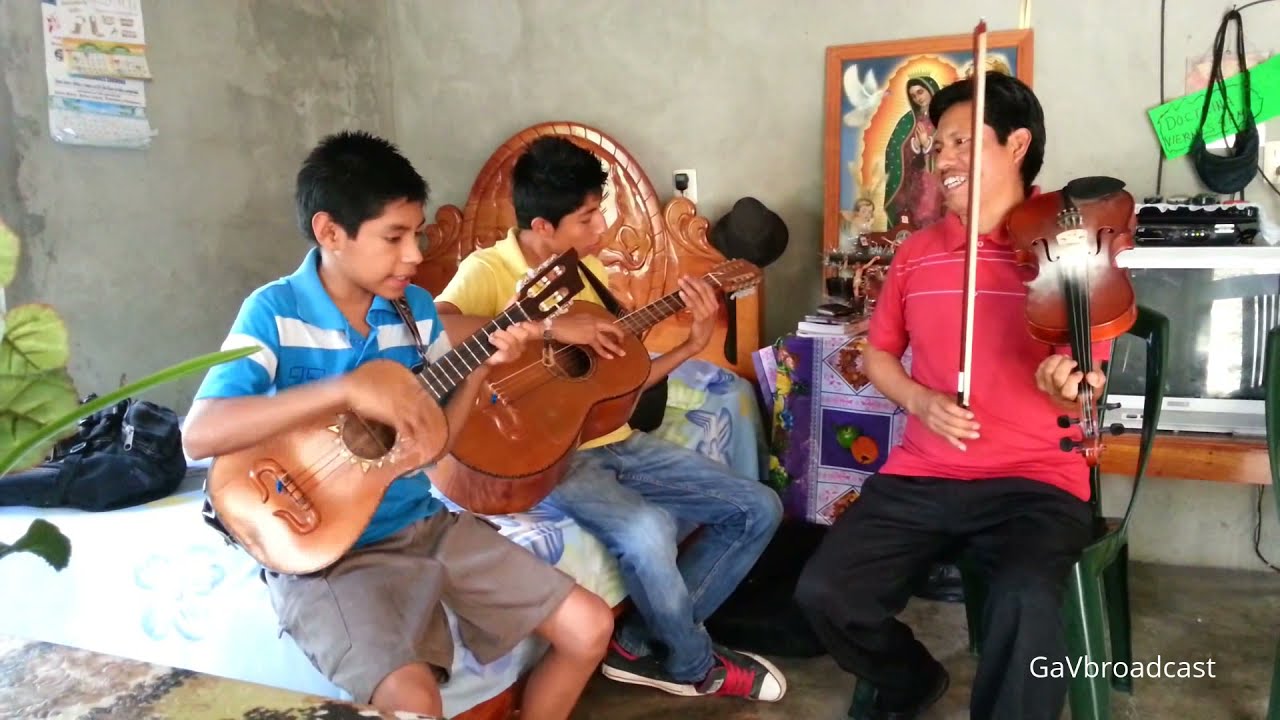 Corridos con violín - El Golpe traidor y Caminos de Michoacán