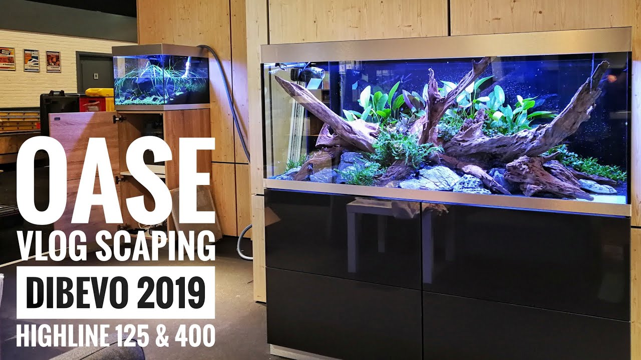 VLOG | OASE HighLine 125 and 400 at Dibevo 2019