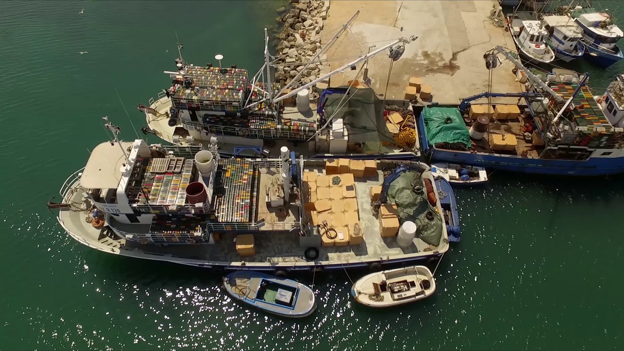 #OBENDROHNE - Kroatien - Ližnjan Hafen - Kuje Bucht
