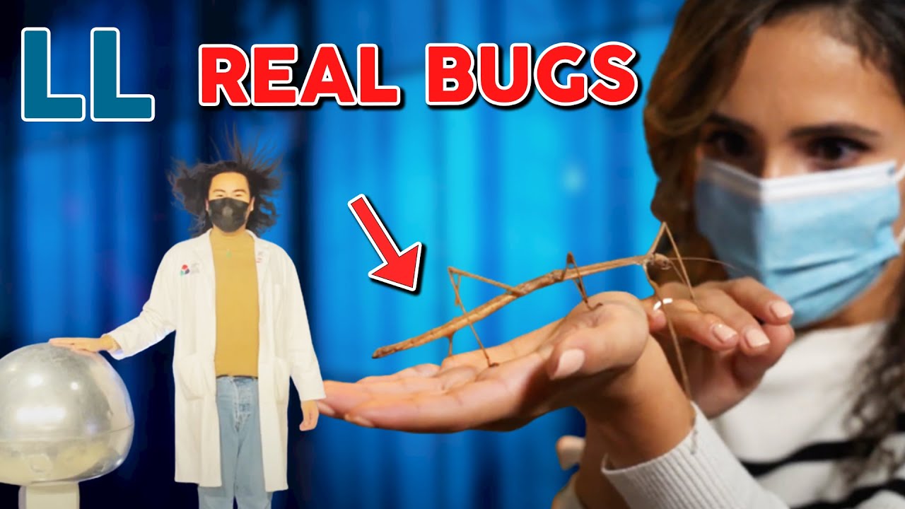 HANDS-ON SCIENCE - Ontario Science Centre | Living Local