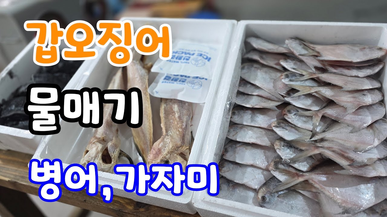 갑오징어,물메기,병어,가자미 반건조 생선