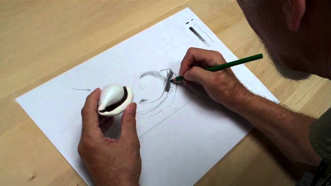 Peter Carrington - drawing at the board
