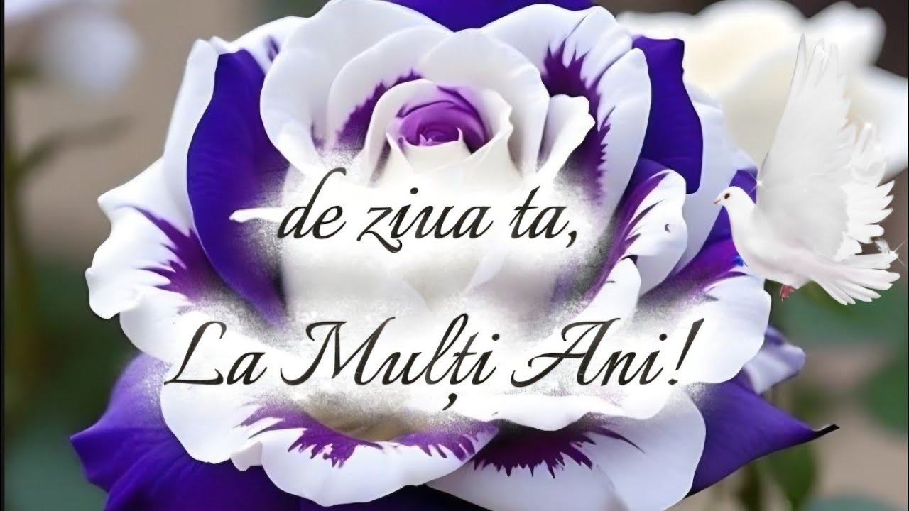 O urare pentru ziua ta! Azi e despre tine!