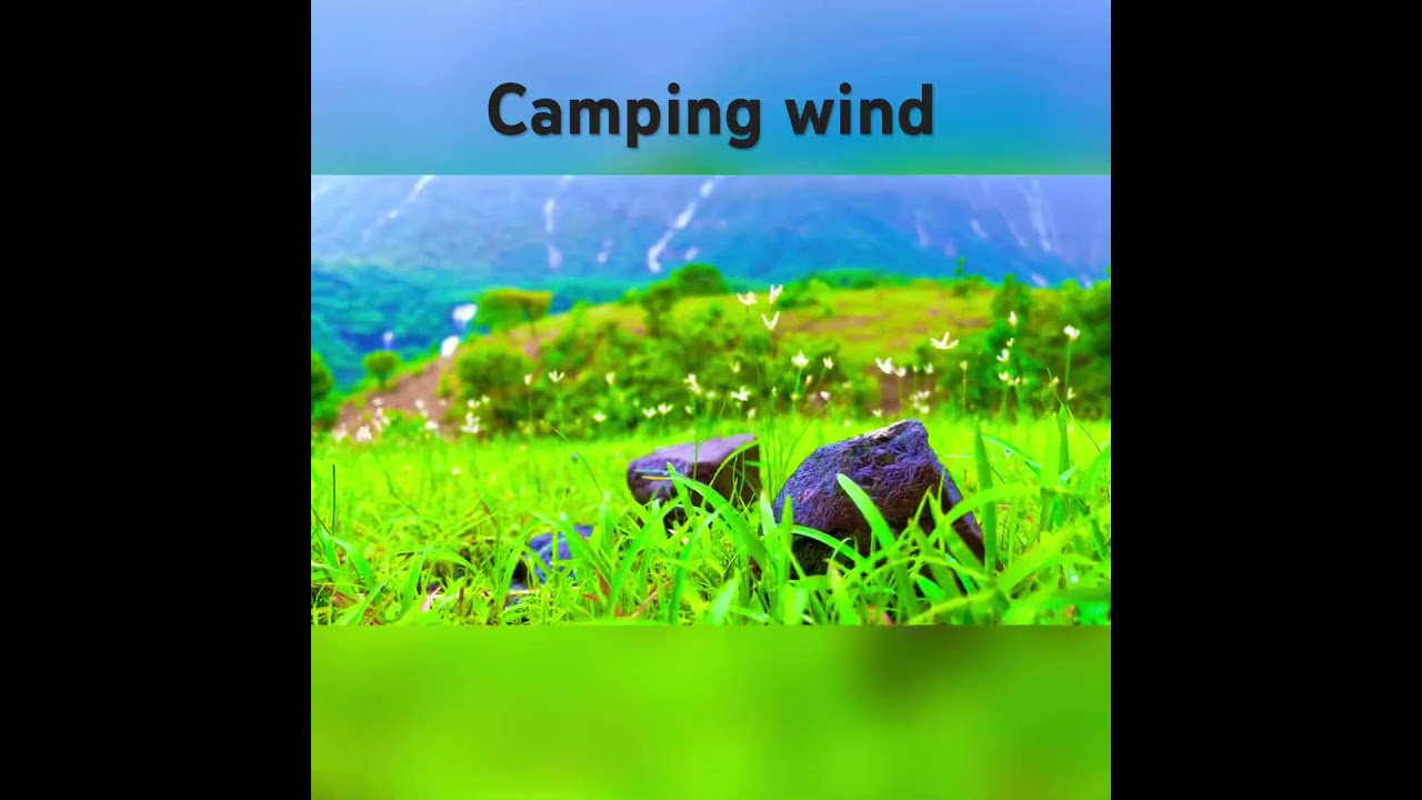 camping in forest#rain #cooking #camping #naturecamping #food #backpacking #campingindi