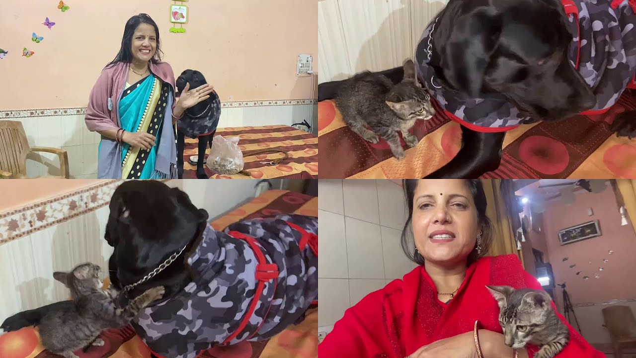 Billu aur Bruno ki masti 😄😂|| Poonam Jaliwal Vlogs🥰