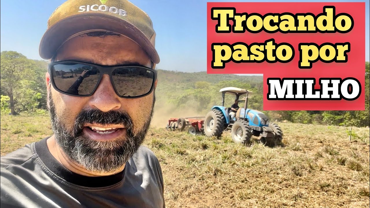 ESTOU TRANSFORMANDO MEUS PASTOS EM LAVOURA.
