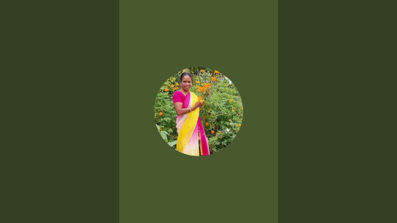 Chennai Jeno  is live இரவுக்கு சரியான உணவு தோசையா இட்லியா