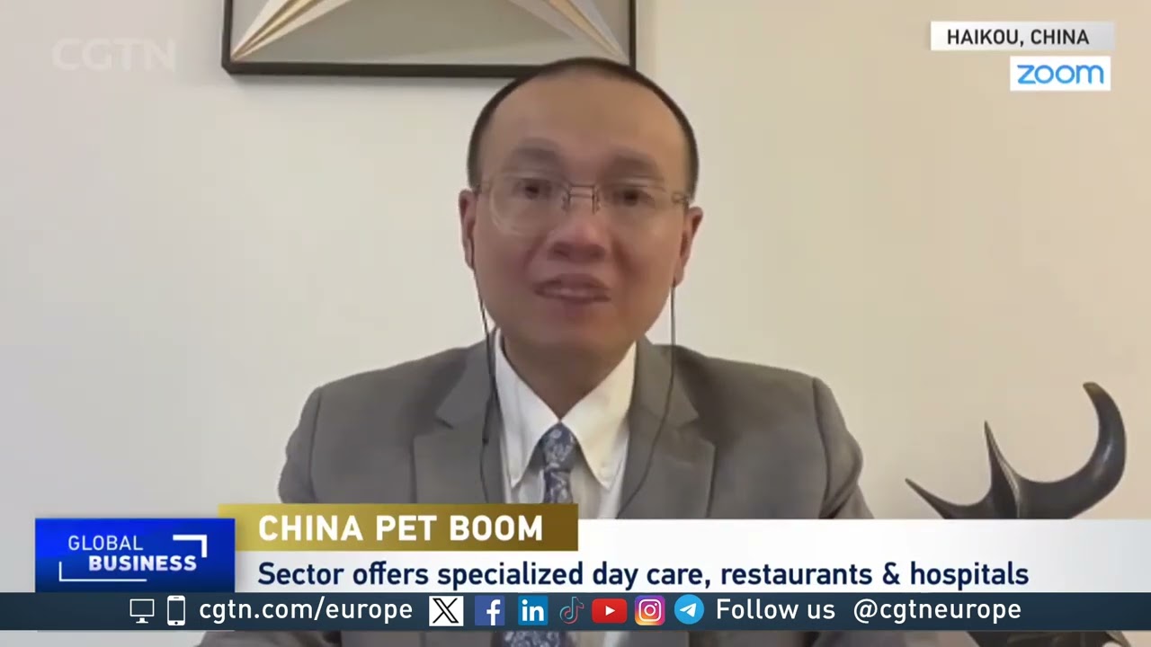 China's pet boom: 