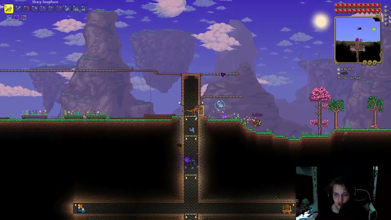 Im playing terraria.. wtf?