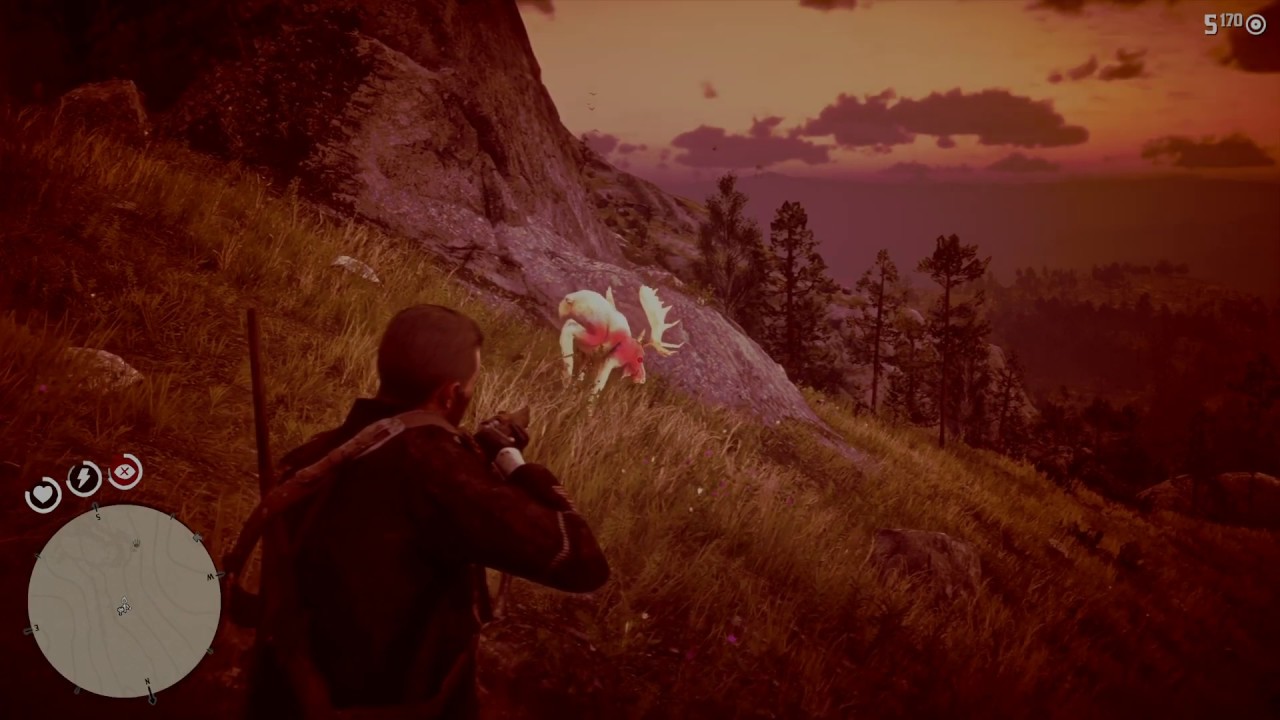 Rare 3-star Male Western Bull Moose Location in Ambarino (SUBTITLES ON)