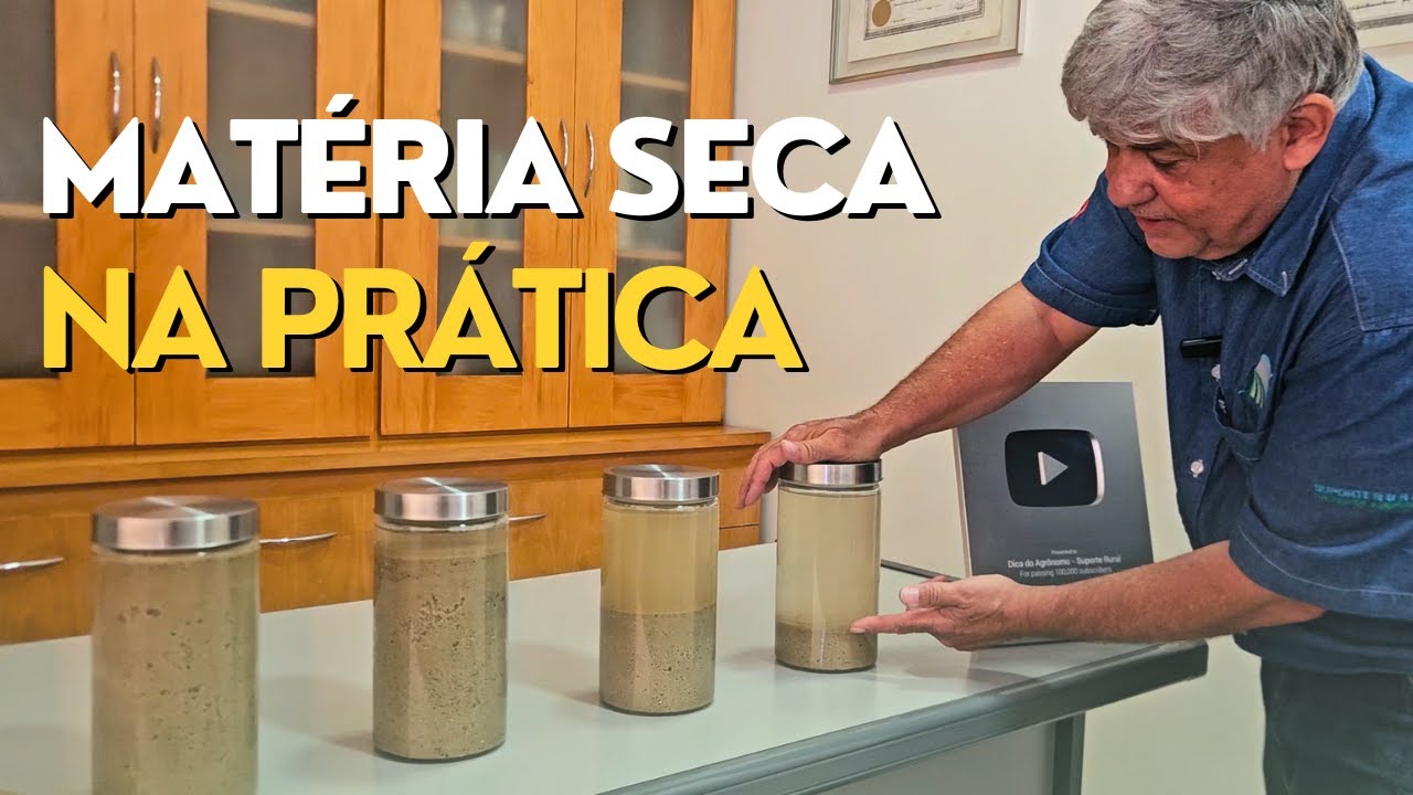 MATÉRIA SECA NA PRÁTICA - ENTENDENDO MATÉRIA SECA EM PASTO FENO E PRÉ-SECADO Ep#264