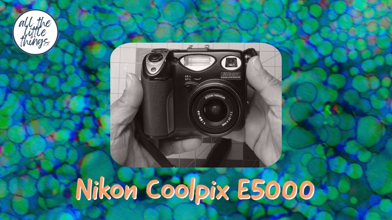 Nikon Coolpix 5000E - I think I figured it out