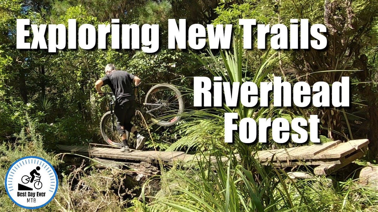 Exploring New Trails in Riverhead forest.