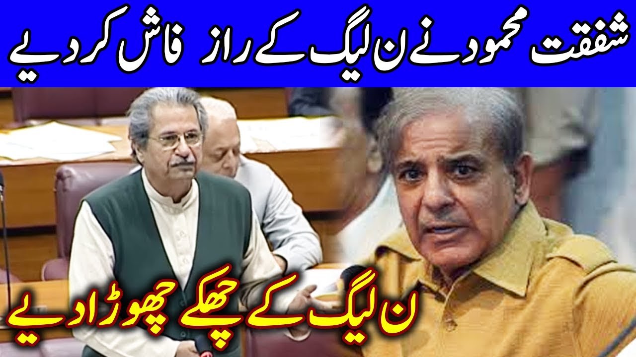 Shafqat Mehmood Speech today | 20 June 2019 | Dunya News
