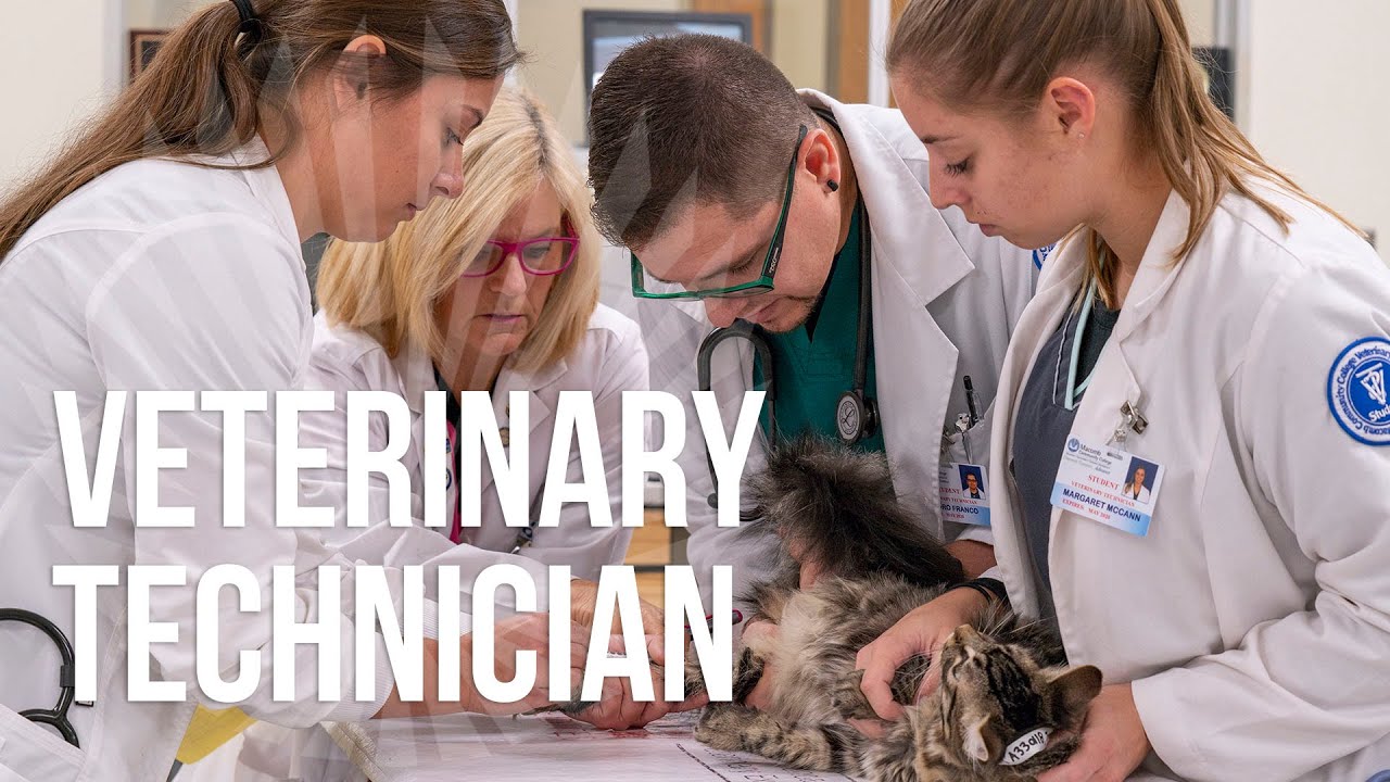 Veterinary Technician Program at Macomb Community College