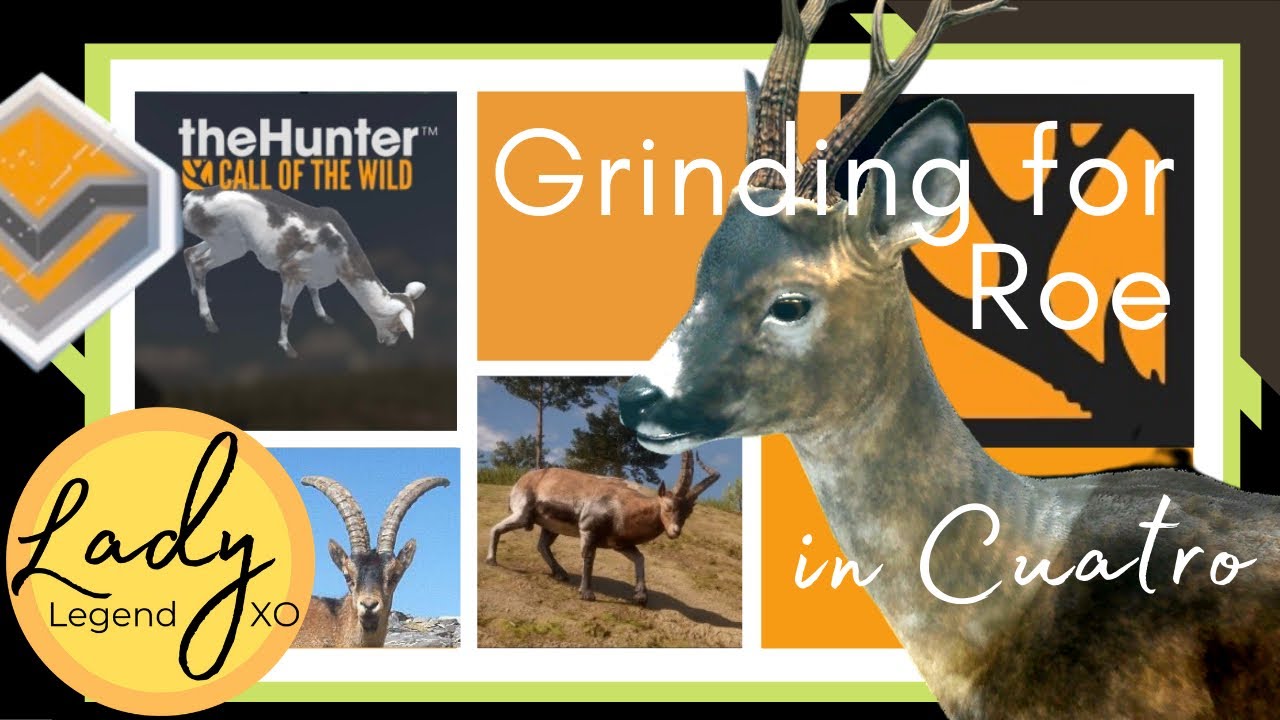 Grinding for Roe Deer in Cuatro! - Hunter: Call of the Wild