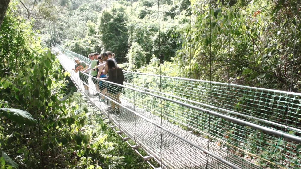 South Shore Canopy Zip Line, Roatan
