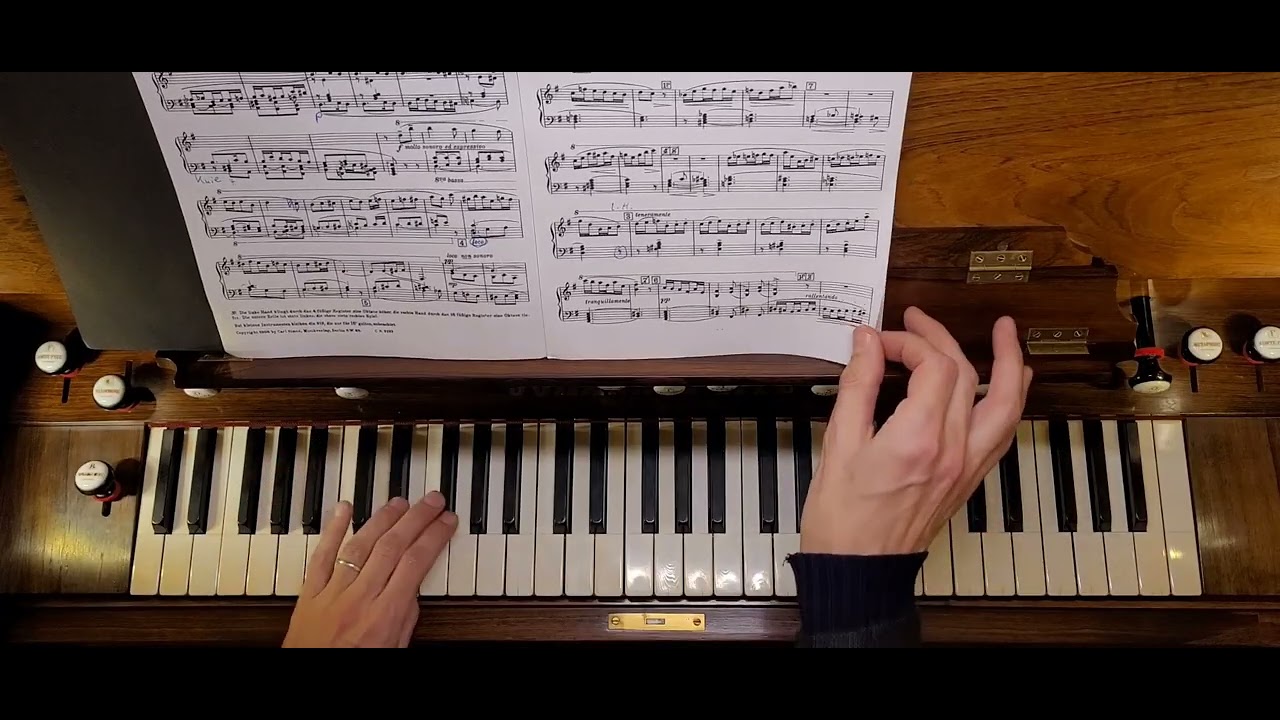 1 Andante Malinconico (Sigfrid Karg-Elert, 