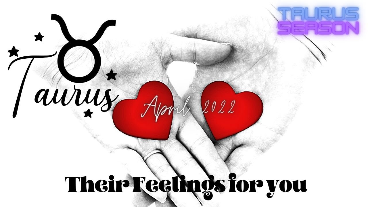 ♉️ Taurus: 🌟Their Feelings For you🌟: They know they ruined everything; your story isn't OVER yet!