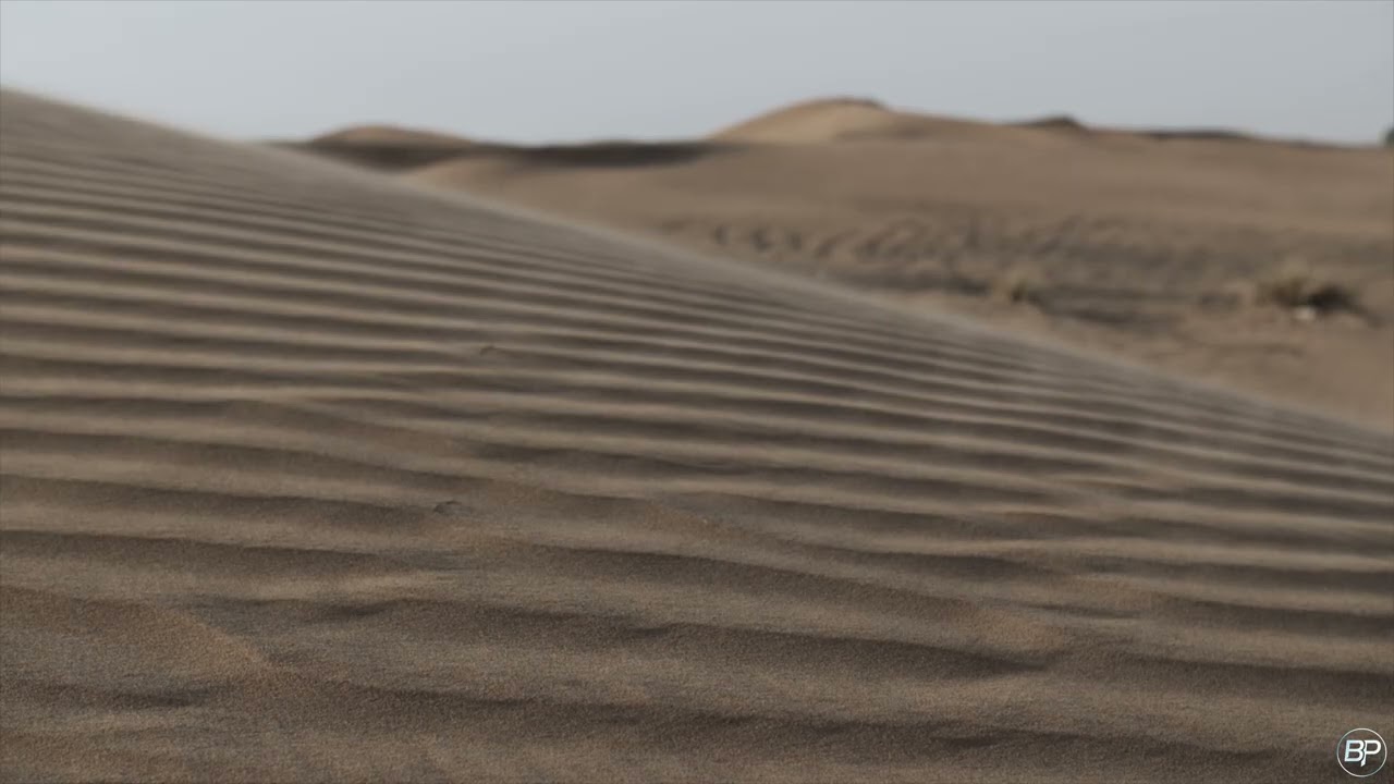 BluePulse 017 — Desert Vast | Grounded Momentum