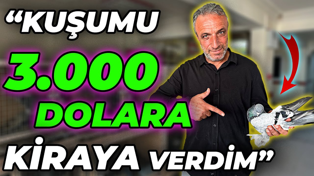 GÜVERCİNLERİNİ KİRAYA VEREREK İYİ PARA KAZANAN ADAM! - Kupa Canavarı Levent Boztepe
