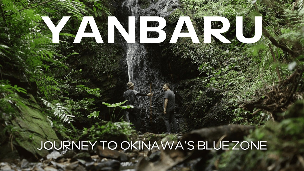 Journey into the World of Okinawa's Blue Zone (Part 2)