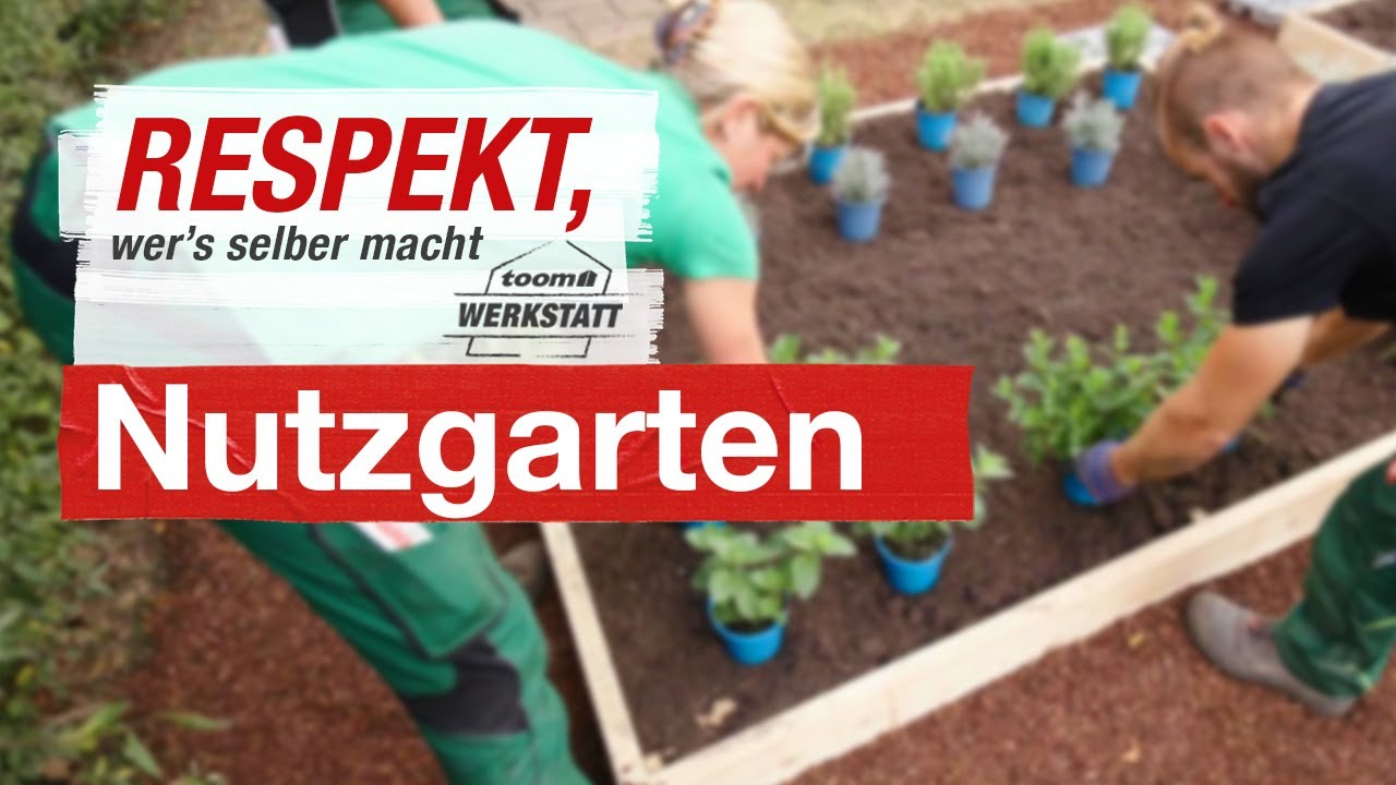 Nutzgarten richtig anlegen | toom Werkstatt