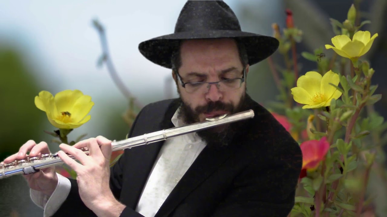 קול דודי דופק-